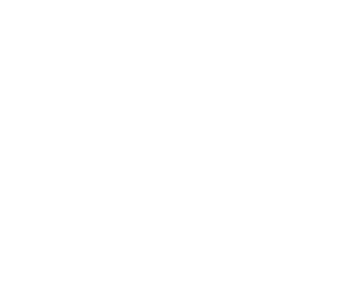 Anterior